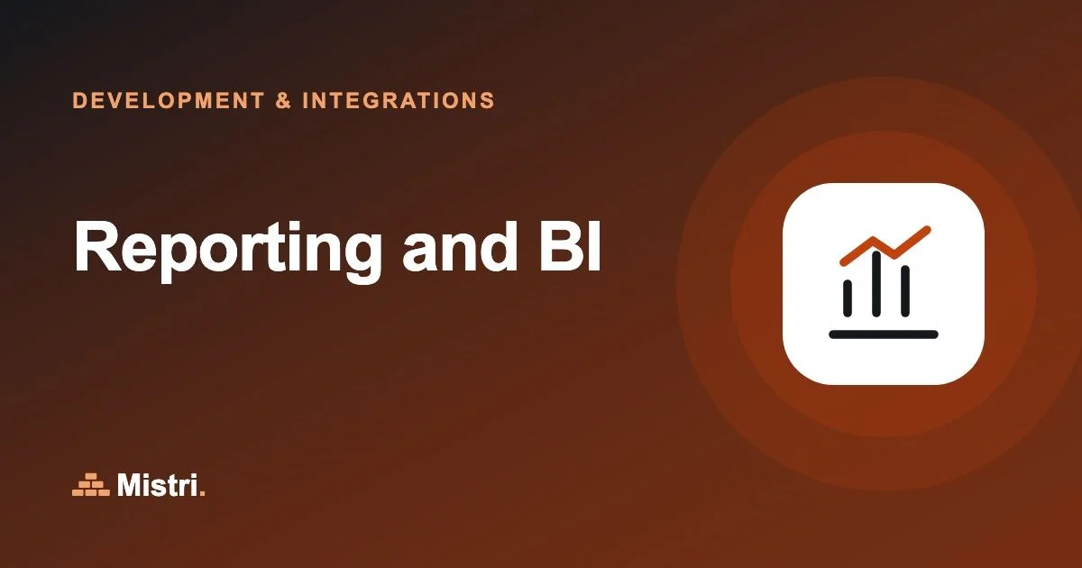 Reporting and BI: Development & integrations guide from Mistri